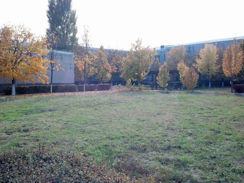 Галицинове з panoramio.com - Галициново