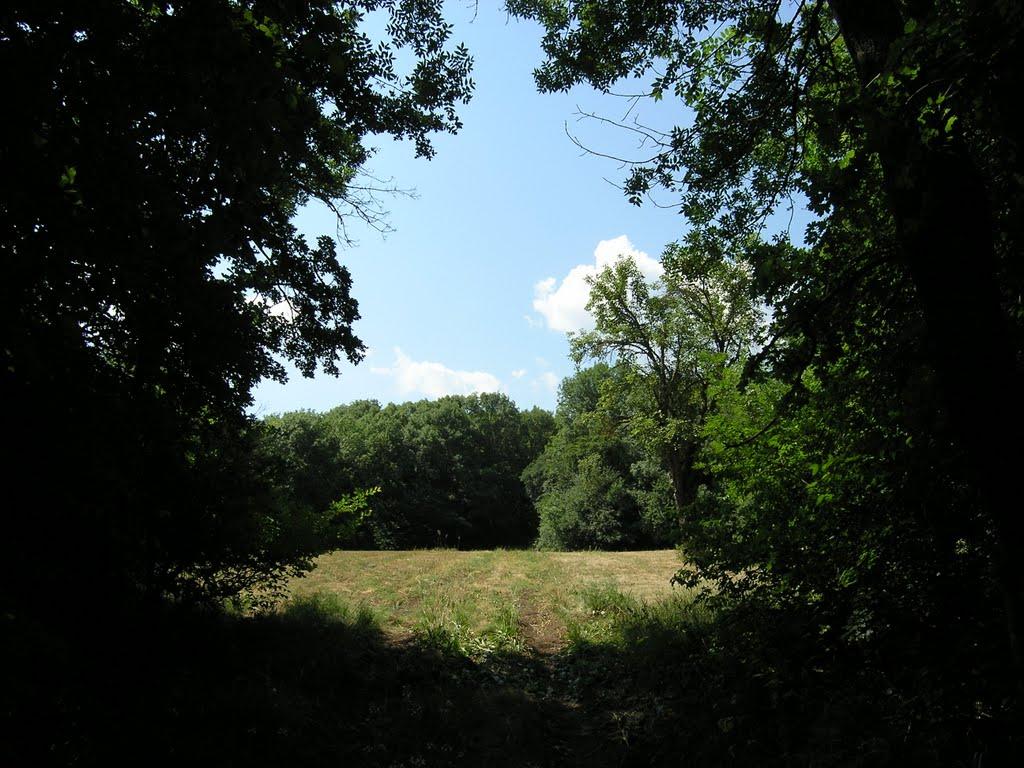 Синапне з panoramio.com - Синапне