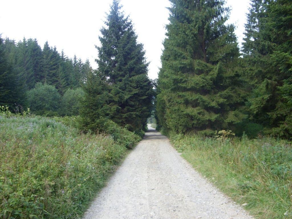 Фальків з panoramio.com (ч.2) - Фальків