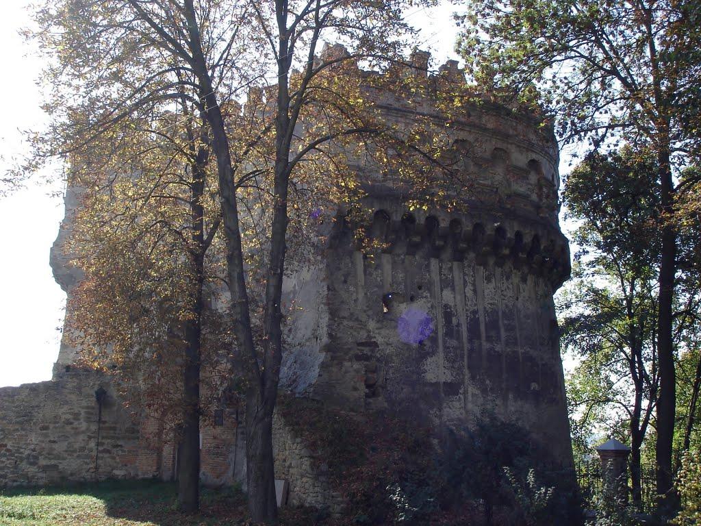 Острог з panoramio.com - Острог