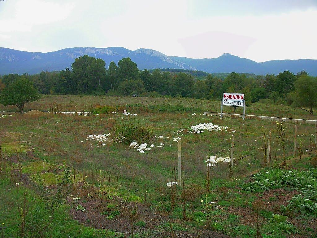 Голубинка з panoramio.com - Голубинка