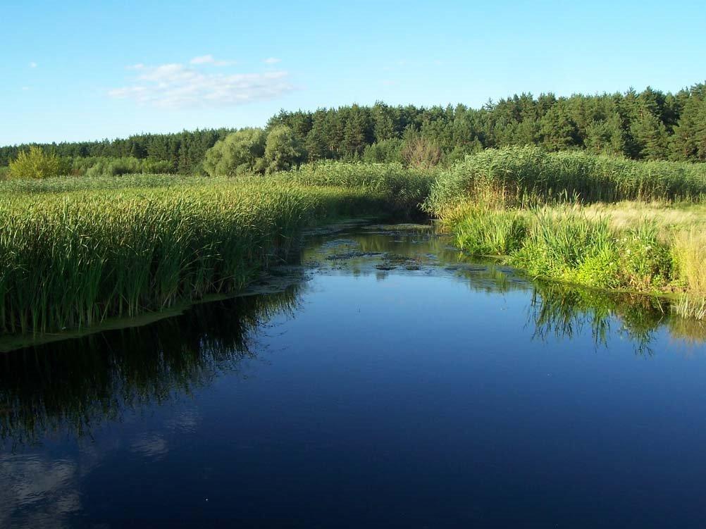 Лихачівка з panoramio.com - Лихачівка