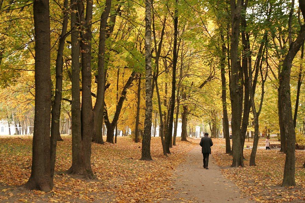 Седнів з panoramio.com - Седнев