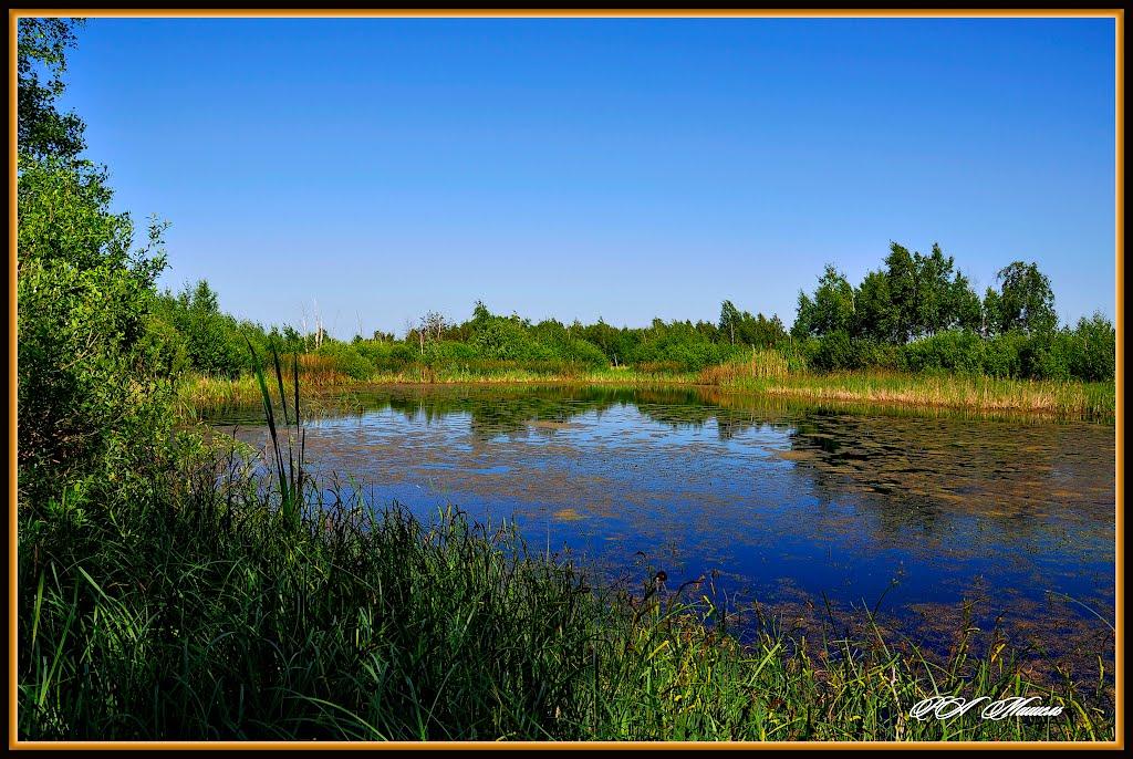 Кравчиха з panoramio.com - Kravchykha