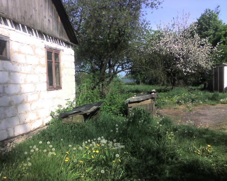 Малий Правутин з panoramio.com - Малый Правутин