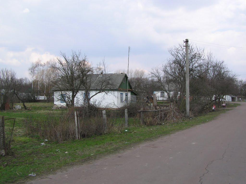 Горщик з panoramio.com - Горщик