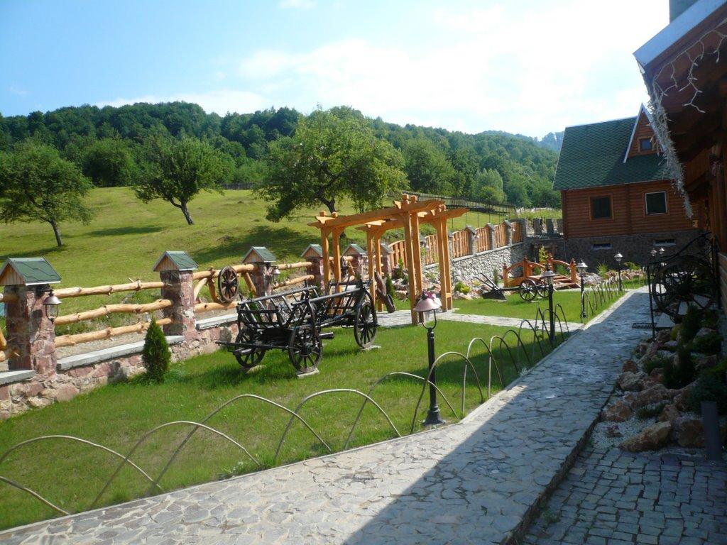 Калини з panoramio.com - Калини