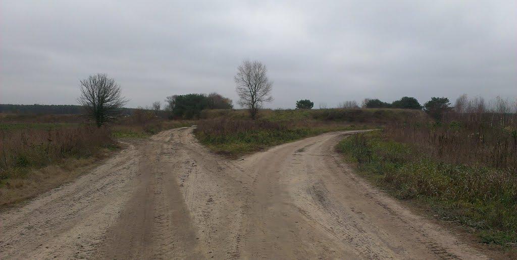 Сиделівка з panoramio.com - Сиделівка