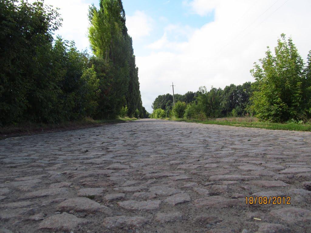 Першотравневе з panoramio.com - Першотравневе