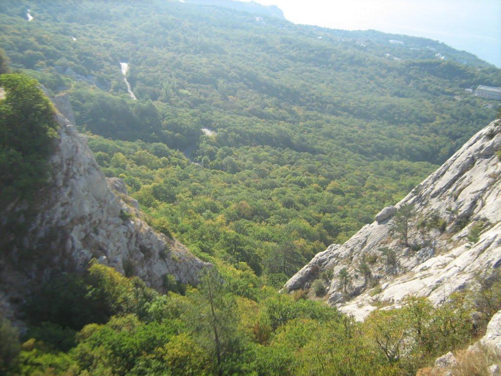 Олива з panoramio.com - Olyva