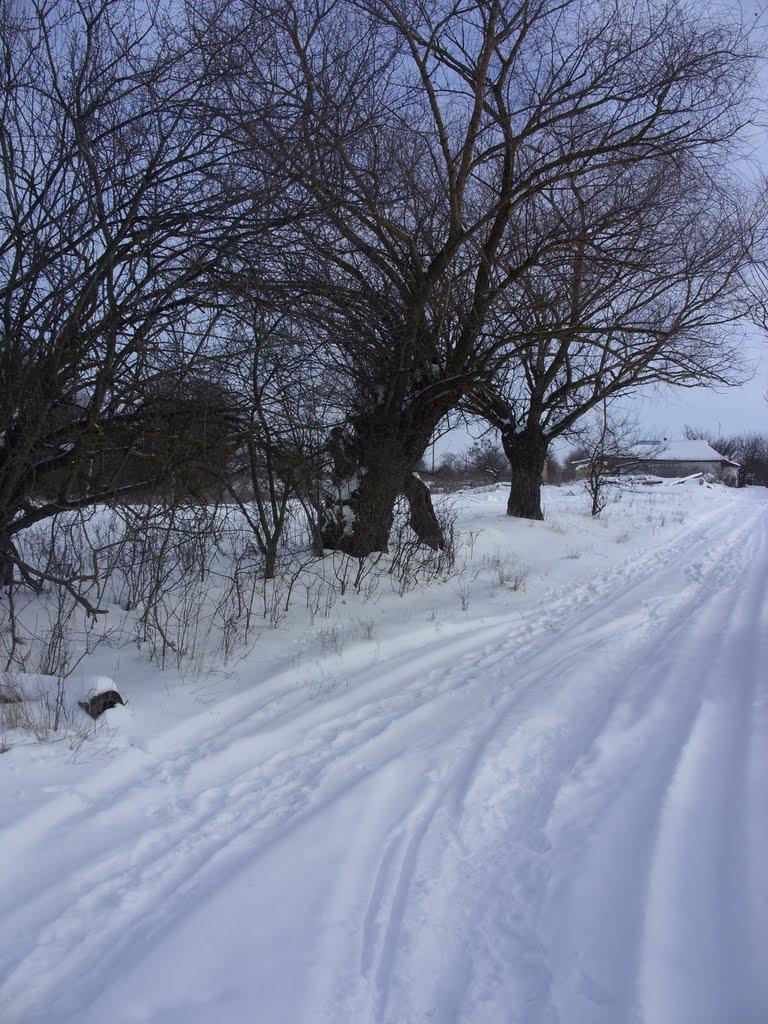 Хорішки з panoramio.com - Khorishky