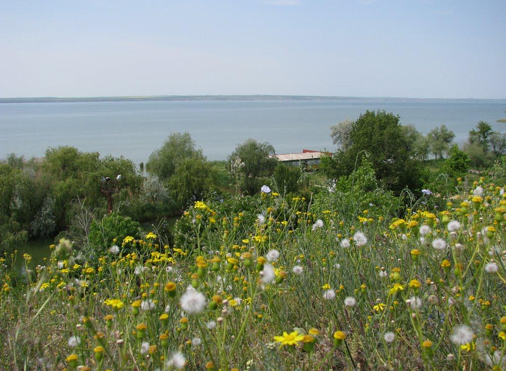 Озерне з panoramio.com - Озерное