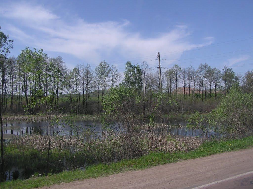 Поліське з panoramio.com - Поліське