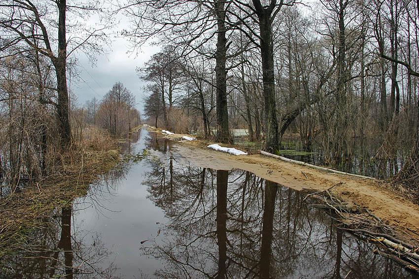 Виликий Обзир з panoramio.com - Виликий Обзир