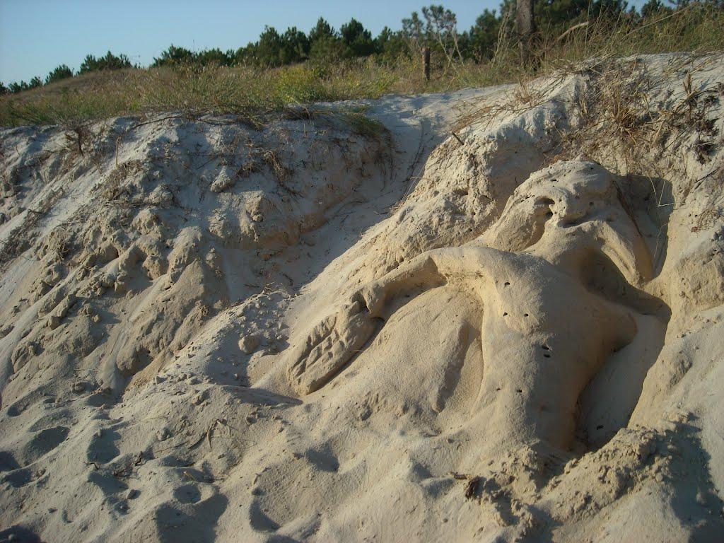 Покровське з panoramio.com - Покровське