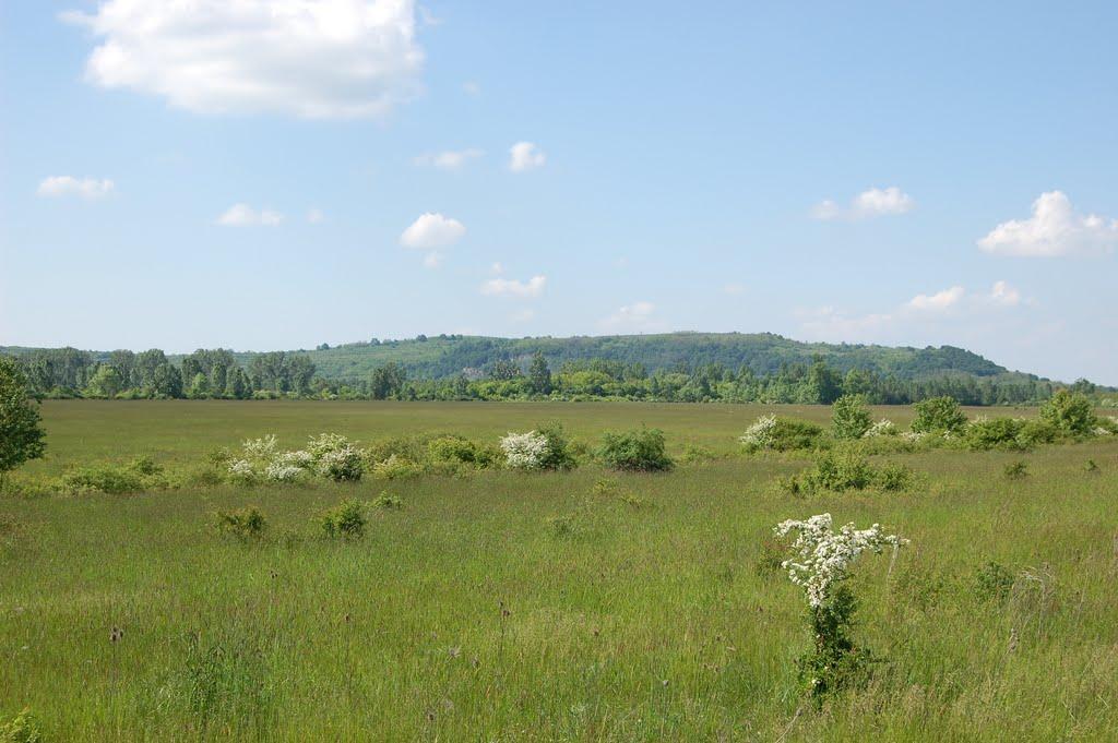 Косонь з panoramio.com - Косонь