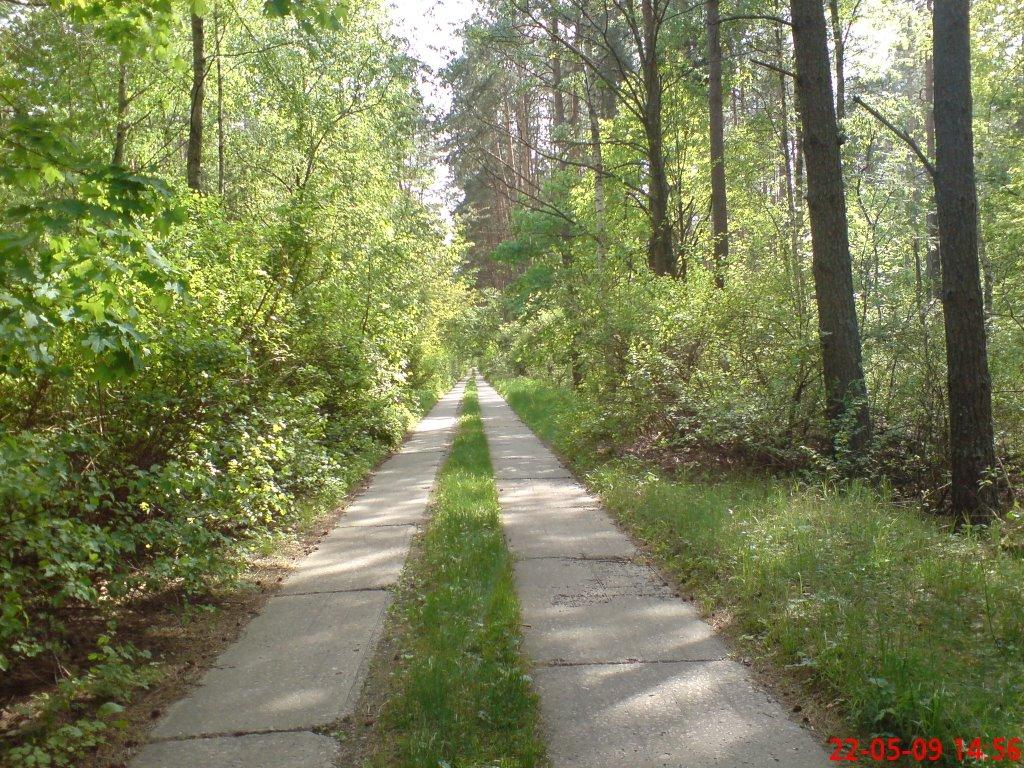 Кушкине з panoramio.com - Кушкино