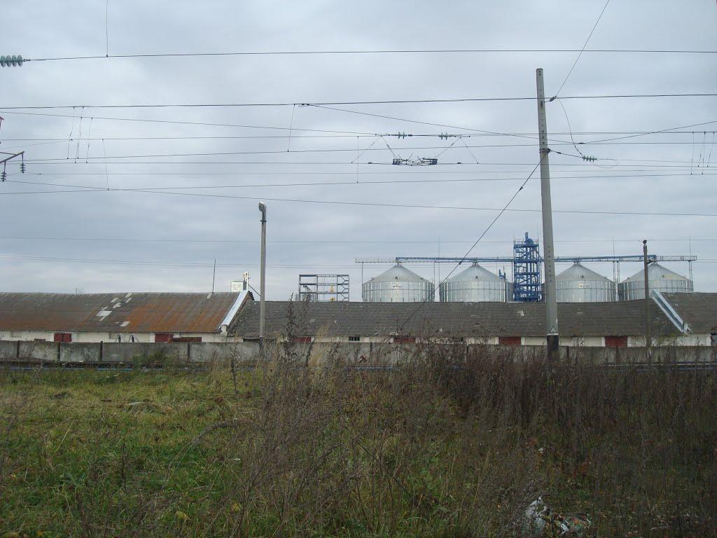 Війтівці з panoramio.com - Войтовцы