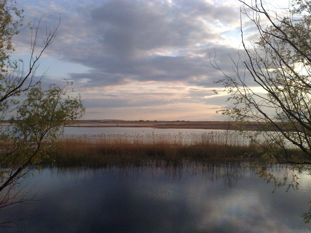 Кедина Гора з panoramio.com - Кедина Гора