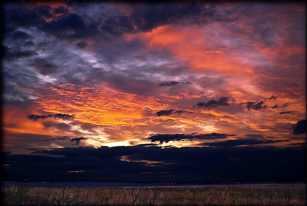 Химрич з panoramio.com - Химрич