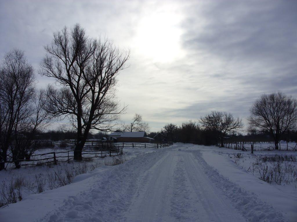 Хорішки з panoramio.com - Khorishky