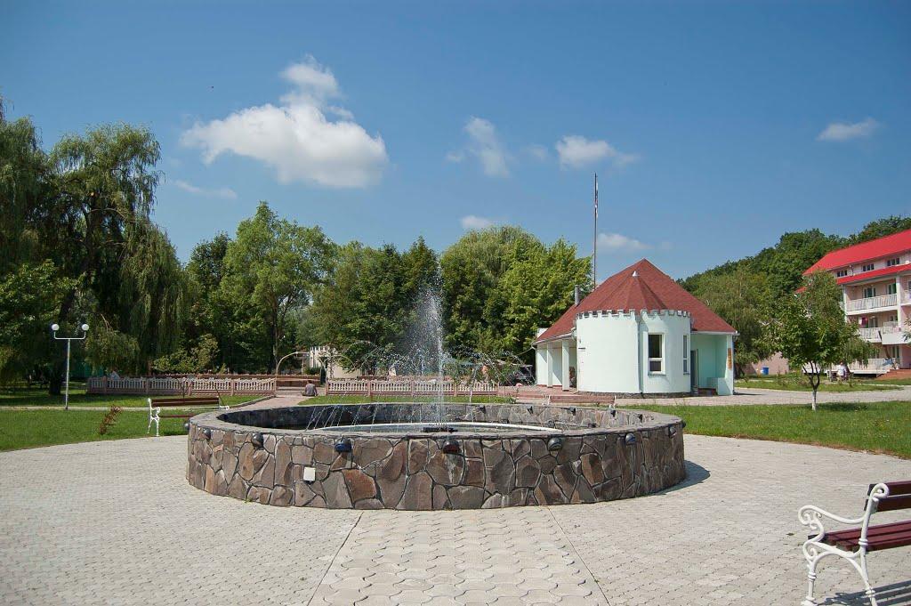 Виноградів з panoramio.com - Виноградов