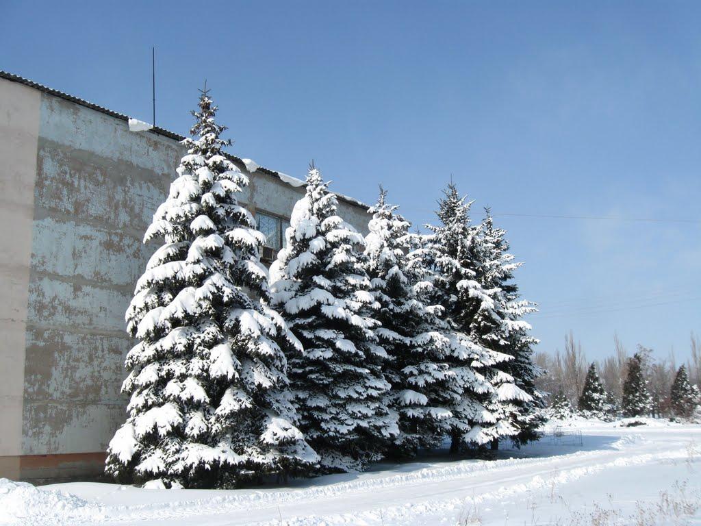 Кіровське з panoramio.com - Кировское