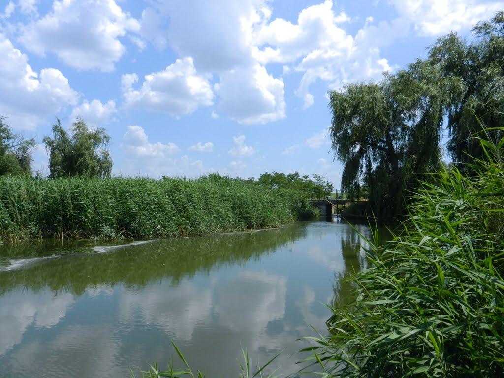 Новожитомир з panoramio.com - Новожитомир