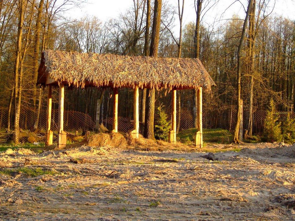 Тутовичі з panoramio.com - Тутовичи