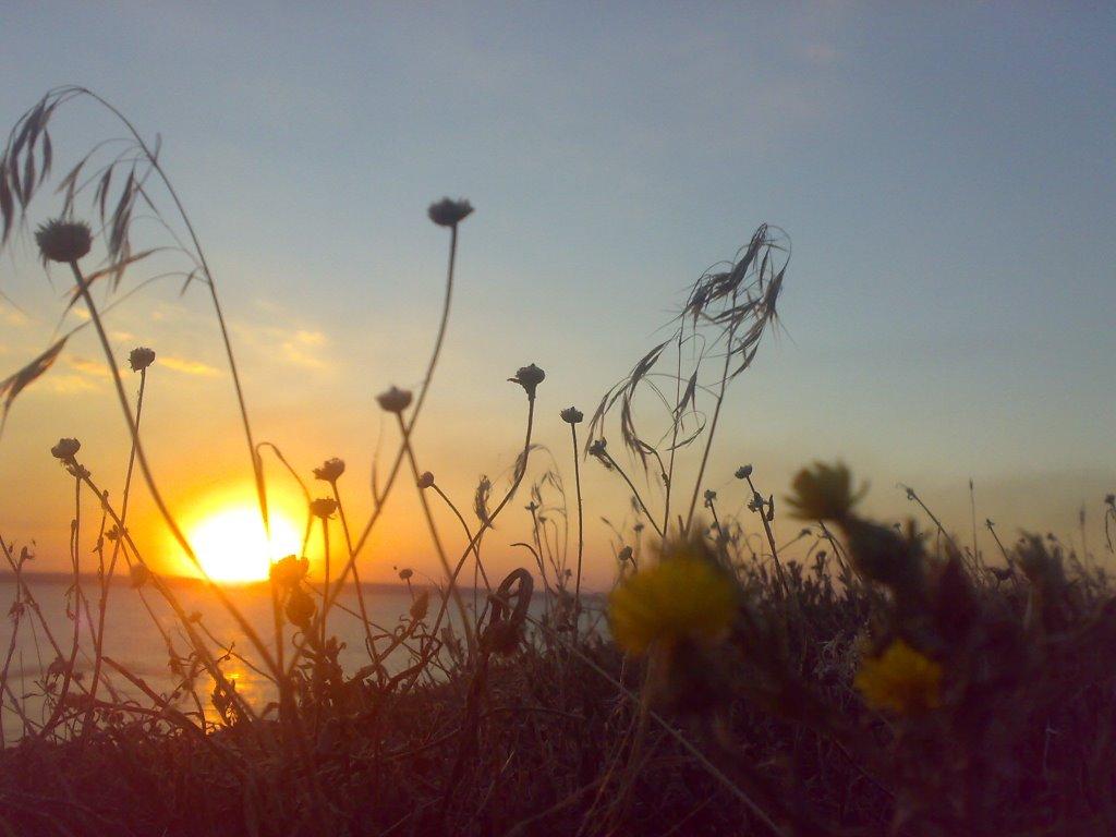 Озерне з panoramio.com - Озерное