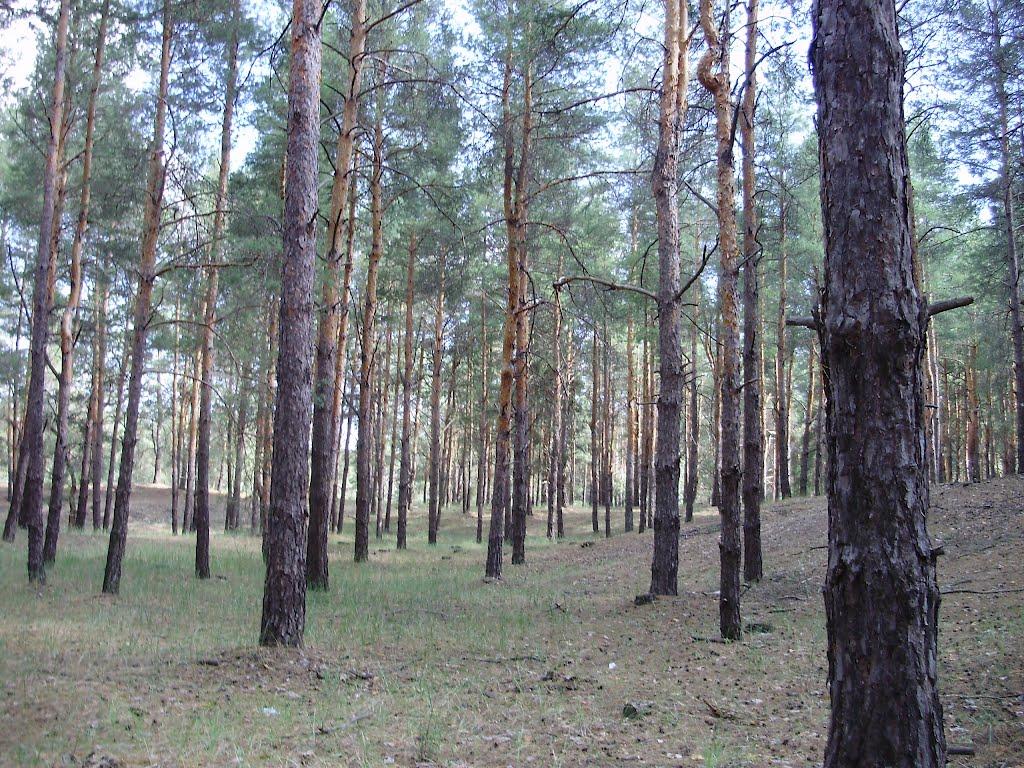 Раденськ з panoramio.com - Раденск