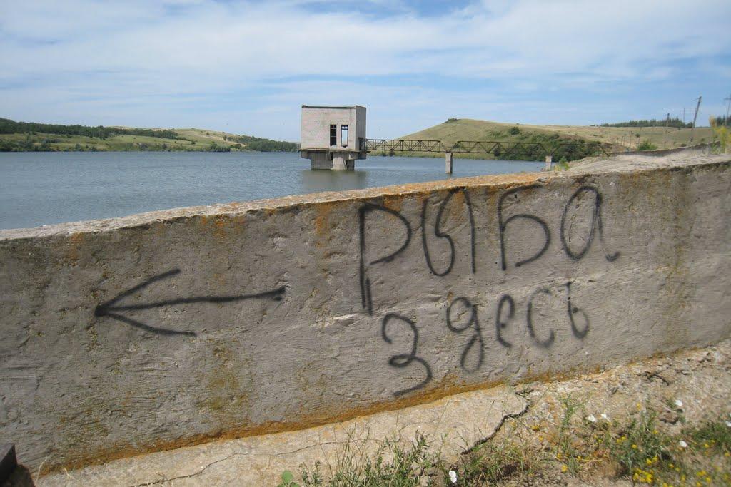 Кам'янка з panoramio.com - Каменка