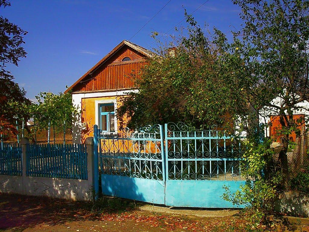 Кочергіне з panoramio.com - Кочергино