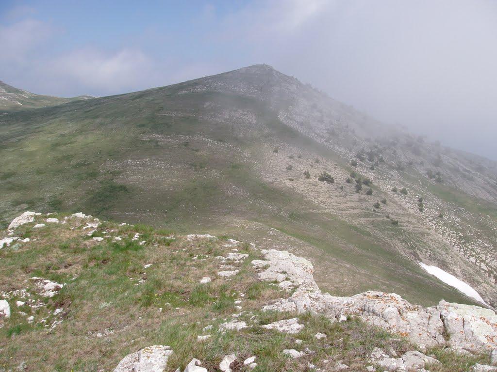 Запрудне з panoramio.com - Запрудне