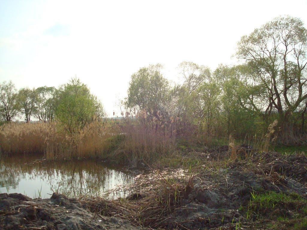 Дроздні з panoramio.com - Дроздни