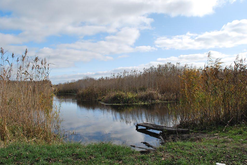 Сенча з panoramio.com - Сенча