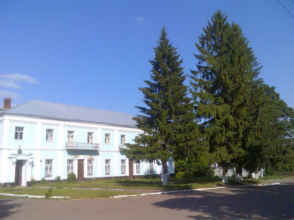 Дубовичі з panoramio.com - Дубовичи