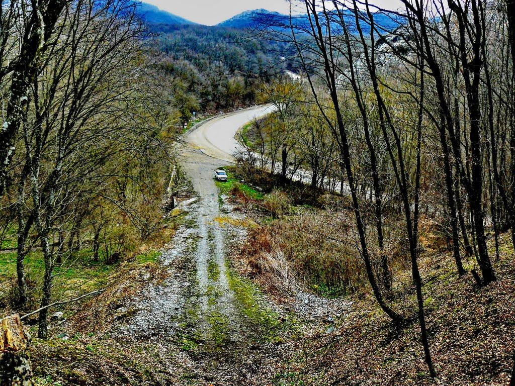 Лісне з panoramio.com - Лісне