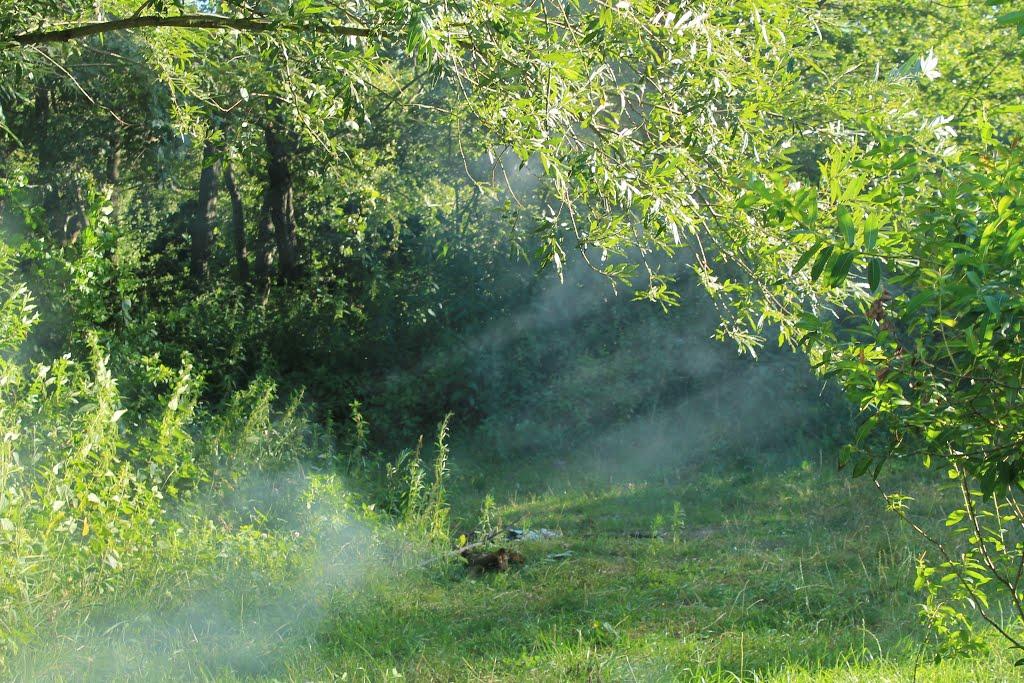 Кобзарівка з panoramio.com - Кобзарівка