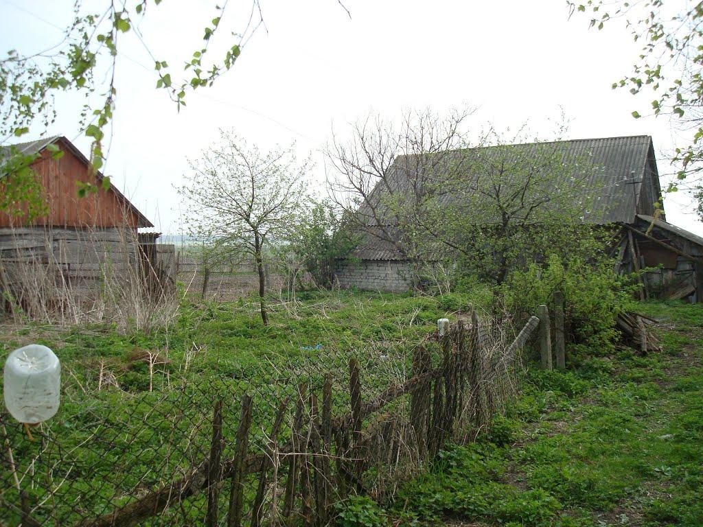 Дроздні з panoramio.com - Дроздни