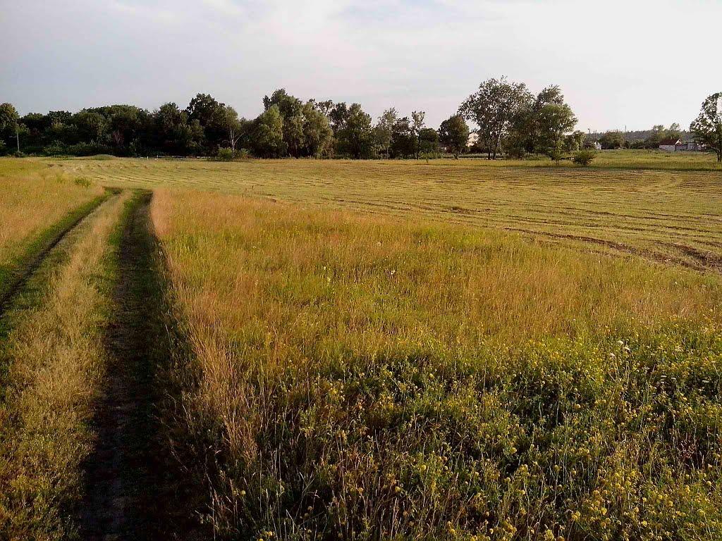 Юрки з panoramio.com - Юрки