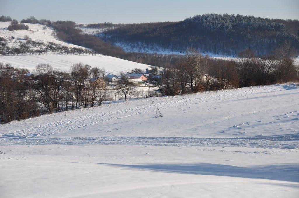 Глібовичі з panoramio.com - Глебовичи