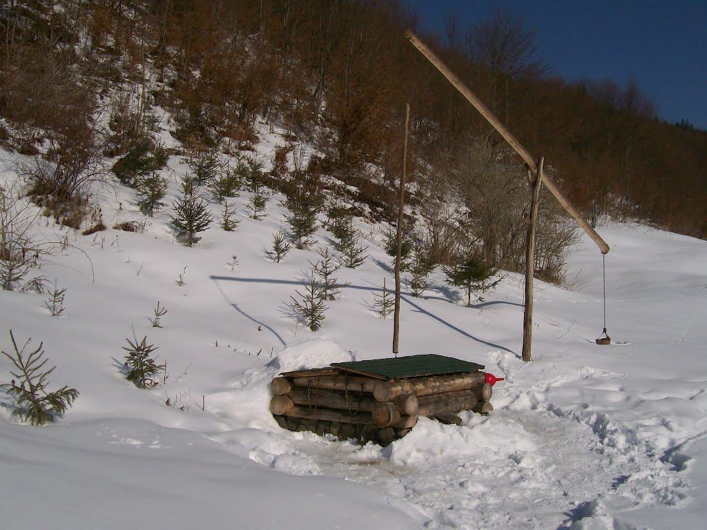 Фальків з panoramio.com (ч.2) - Фальків