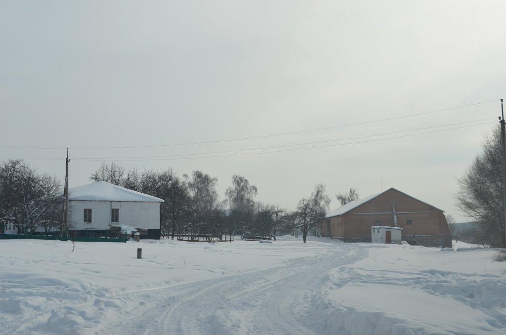 Старі Бабани з panoramio.com - Старые Бабаны