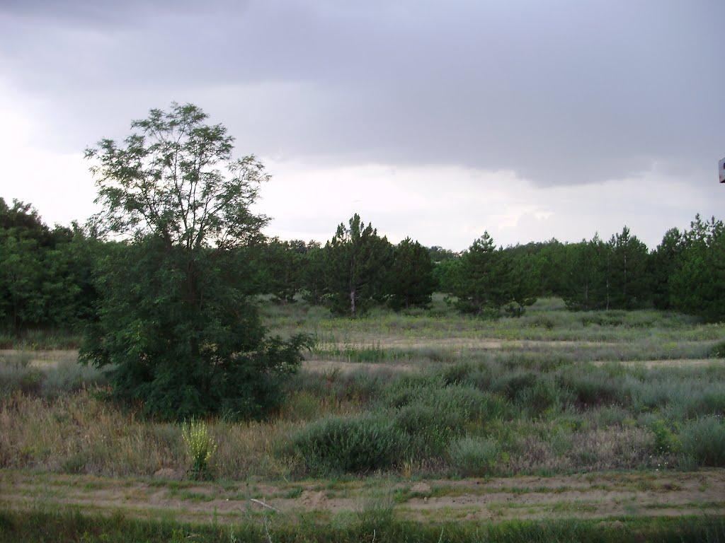 Раденськ з panoramio.com - Раденск