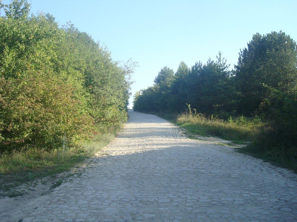 Рудківці з panoramio.com - Rudkivtsi