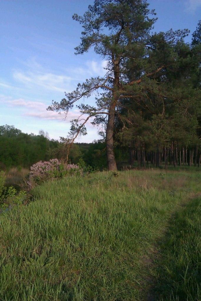 Карабазівка з panoramio.com - Карабазівка