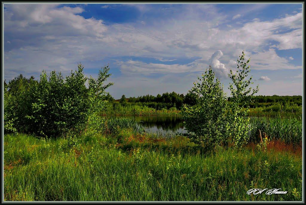 Новокраснянка з panoramio.com - Новокраснянка