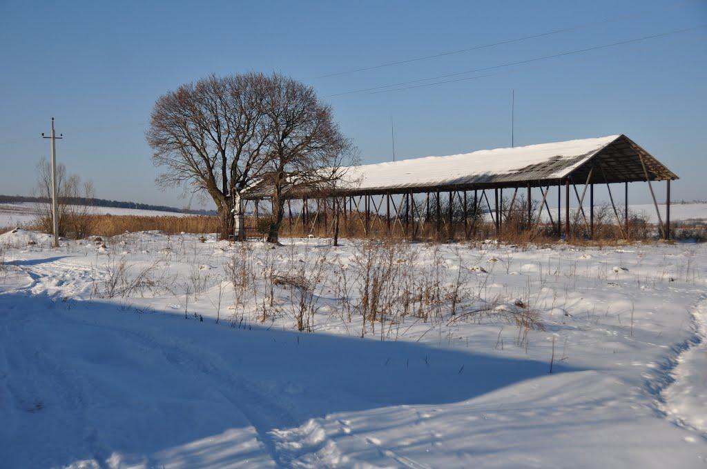 Глібовичі з panoramio.com - Глібовичі