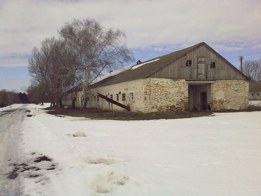 Черемошне з panoramio.com - Черемошне